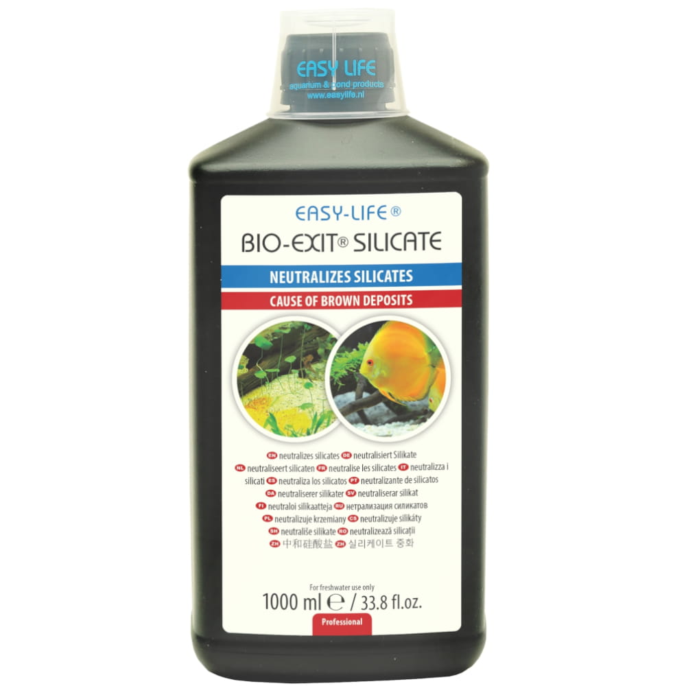 silicate exit 1000.jpg